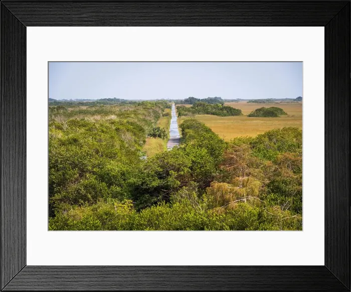 Framed Print : The Swamp land at Everglades National Park, Florida, United States Framed Print : The Swamp land at Everglades National Park, Florida, United States