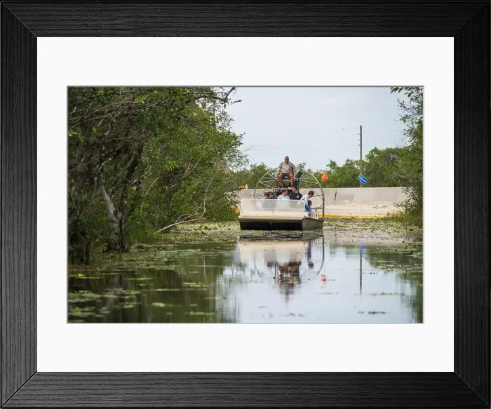 Framed Print : An Airboat Ride and Tour at Everglades National Park, Florida, United States Framed Print : An Airboat Ride and Tour at Everglades National Park, Florida, United States