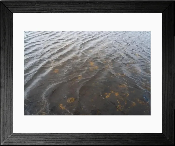 Framed Print : The Swamp land at Everglades National Park, Florida, United States Framed Print : The Swamp land at Everglades National Park, Florida, United States