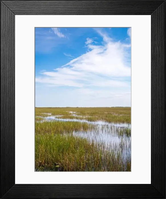Framed Print : The Swamp land at Everglades National Park, Florida, United States Framed Print : The Swamp land at Everglades National Park, Florida, United States
