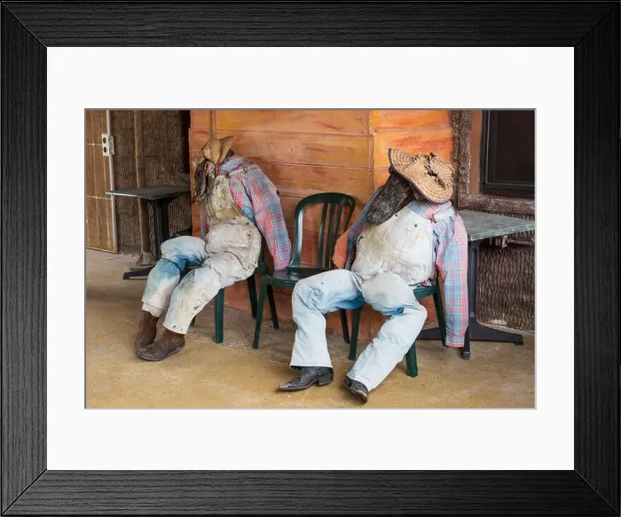 Framed Print : The Everglades National Park, Florida, United States Framed Print : The Everglades National Park, Florida, United States