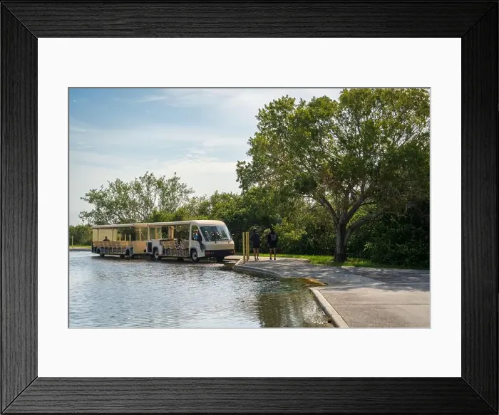 Framed Print : The Shark Valley Tram Tour at Everglades National Park, Florida, United States Framed Print : The Shark Valley Tram Tour at Everglades National Park, Florida, United States