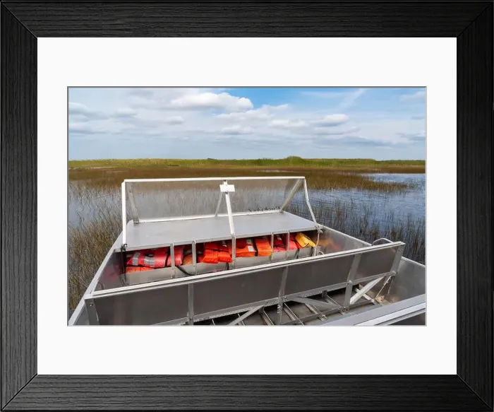Framed Print : The Everglades National Park, Florida, United States Framed Print : The Everglades National Park, Florida, United States