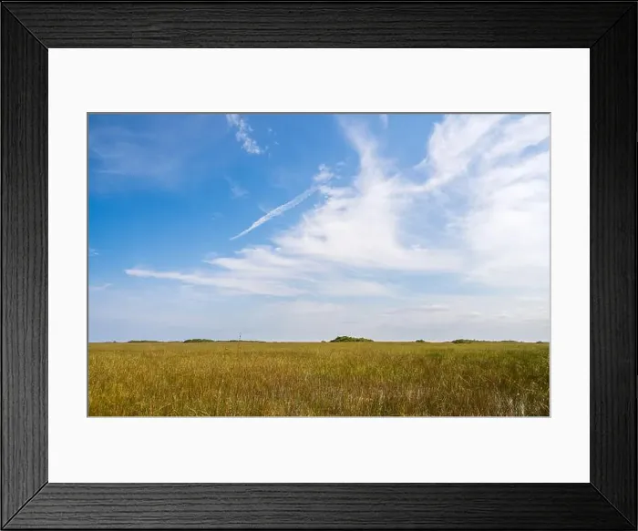 Framed Print : The Everglades National Park, Florida, United States Framed Print : The Everglades National Park, Florida, United States