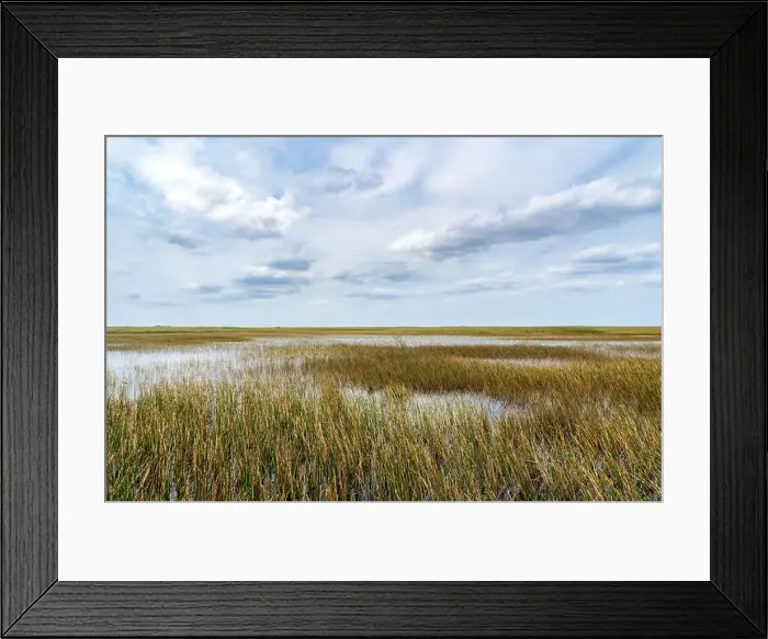 Framed Print : The Swamp land at Everglades National Park, Florida, United States Framed Print : The Swamp land at Everglades National Park, Florida, United States