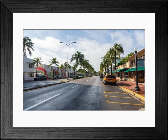 Framed Print : Miami Beach, North Shore Open Space Park, Lummus Park to South Pointe Park, Miami, FL, USA Framed Print : Miami Beach, North Shore Open Space Park, Lummus Park to South Pointe Park, Miami, FL, USA