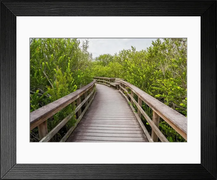 Framed Print : A Boardwalk at Everglades National Park, Florida, United States Framed Print : A Boardwalk at Everglades National Park, Florida, United States