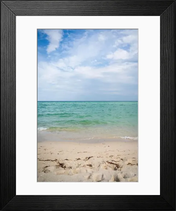 Framed Print : Miami Beach, North Shore Open Space Park, Lummus Park to South Pointe Park, Miami, FL, USA Framed Print : Miami Beach, North Shore Open Space Park, Lummus Park to South Pointe Park, Miami, FL, USA