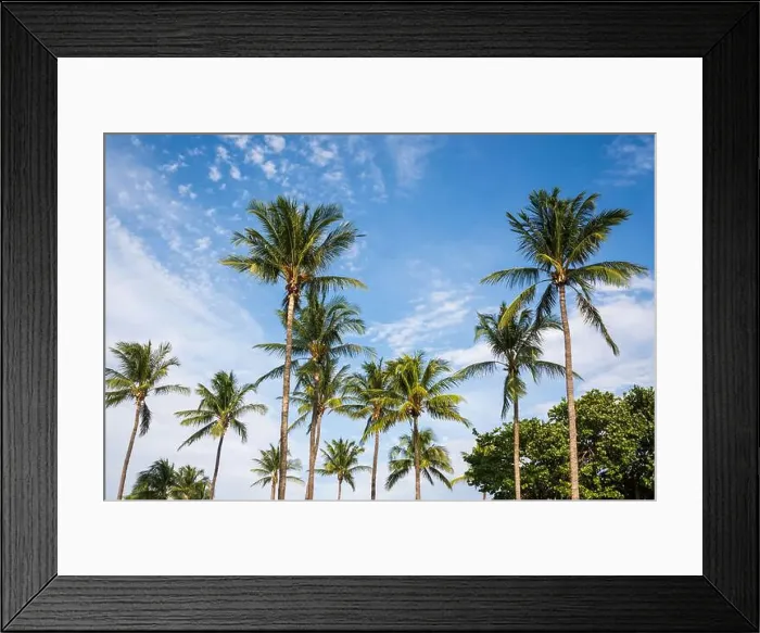 Framed Print : Miami Beach, North Shore Open Space Park, Lummus Park to South Pointe Park, Miami, FL, USA Framed Print : Miami Beach, North Shore Open Space Park, Lummus Park to South Pointe Park, Miami, FL, USA