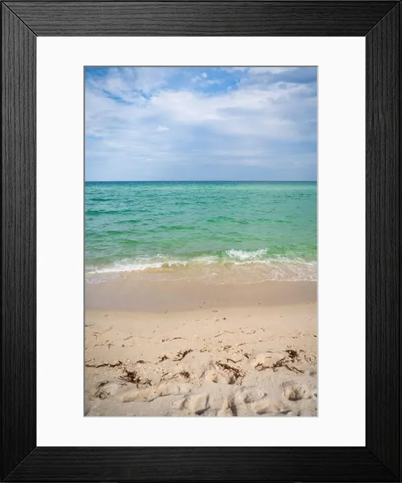 Framed Print : Miami Beach, North Shore Open Space Park, Lummus Park to South Pointe Park, Miami, FL, USA Framed Print : Miami Beach, North Shore Open Space Park, Lummus Park to South Pointe Park, Miami, FL, USA