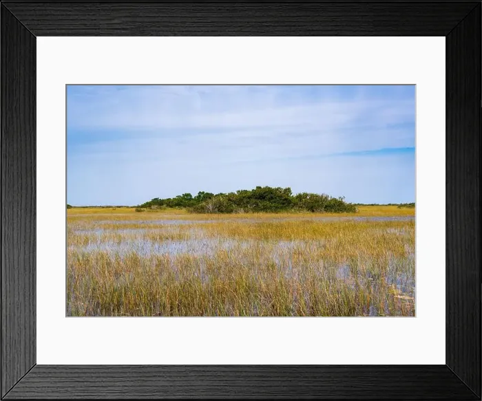 Framed Print : The Swamp land at Everglades National Park, Florida, United States Framed Print : The Swamp land at Everglades National Park, Florida, United States