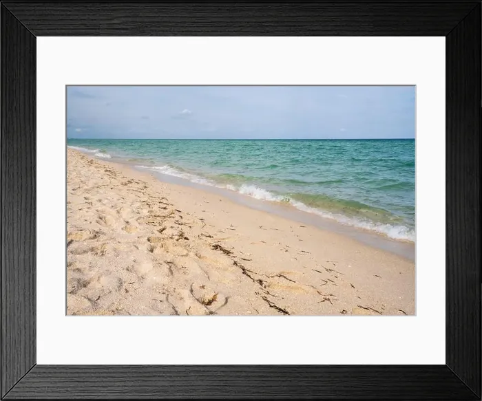 Framed Print : Miami Beach, North Shore Open Space Park, Lummus Park to South Pointe Park, Miami, FL, USA Framed Print : Miami Beach, North Shore Open Space Park, Lummus Park to South Pointe Park, Miami, FL, USA