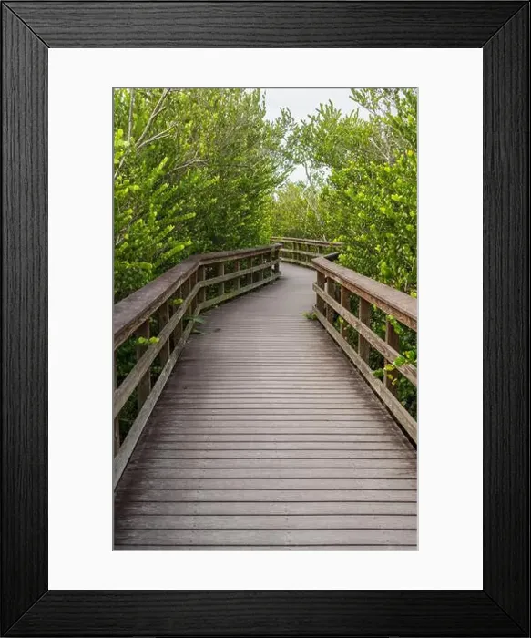 Framed Print : A Boardwalk at Everglades National Park, Florida, United States
