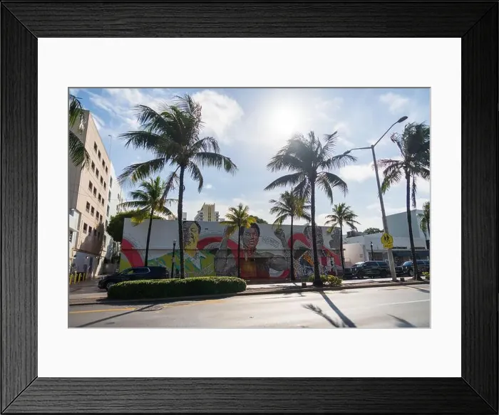 Framed Print : Miami Beach, North Shore Open Space Park, Lummus Park to South Pointe Park, Miami, FL, USA Framed Print : Miami Beach, North Shore Open Space Park, Lummus Park to South Pointe Park, Miami, FL, USA
