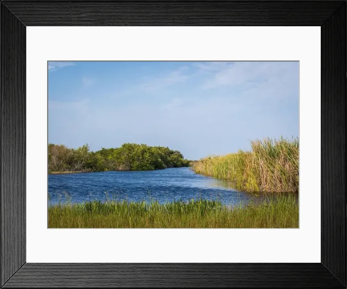 Framed Print : The Swamp land at Everglades National Park, Florida, United States Framed Print : The Swamp land at Everglades National Park, Florida, United States