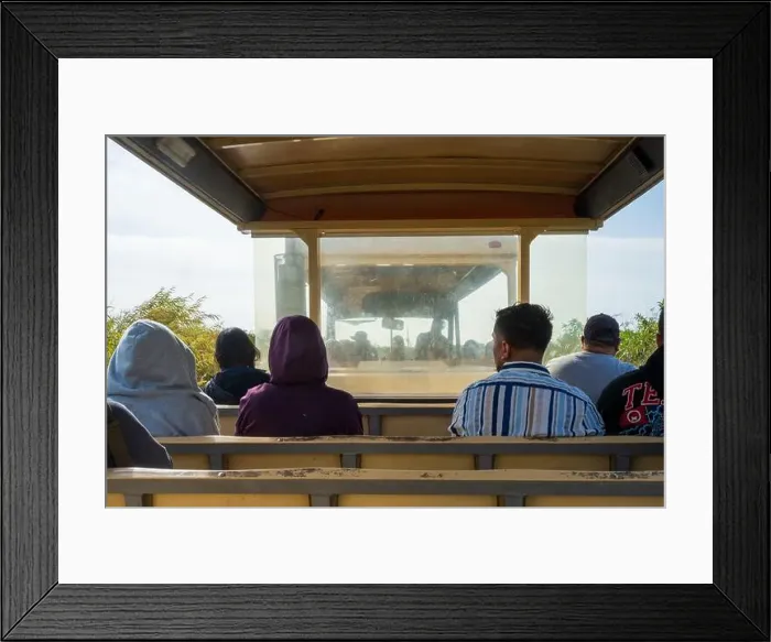 Framed Print : The Everglades National Park, Florida, United States Framed Print : The Everglades National Park, Florida, United States