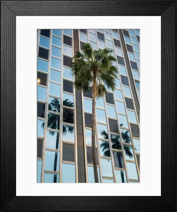 Framed Print : Miami Beach, North Shore Open Space Park, Lummus Park to South Pointe Park, Miami, FL, USA Framed Print : Miami Beach, North Shore Open Space Park, Lummus Park to South Pointe Park, Miami, FL, USA