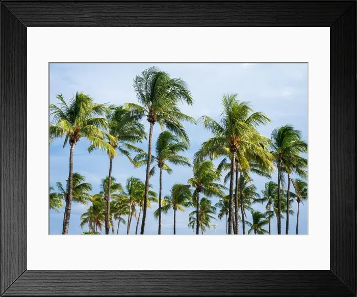 Framed Print : Miami Beach, North Shore Open Space Park, Lummus Park to South Pointe Park, Miami, FL, USA Framed Print : Miami Beach, North Shore Open Space Park, Lummus Park to South Pointe Park, Miami, FL, USA