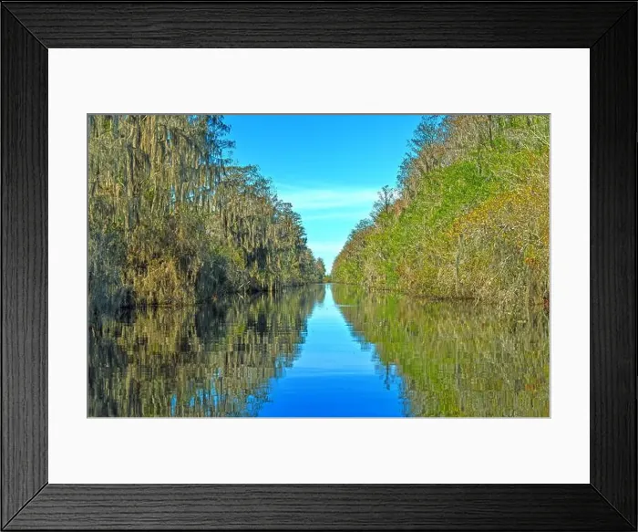 Framed Print : Narrow Channel Through Cypress Swamp in the Okefenokee National Wildlife Refuge in Georgia Framed Print : Narrow Channel Through Cypress Swamp in the Okefenokee National Wildlife Refuge in Georgia