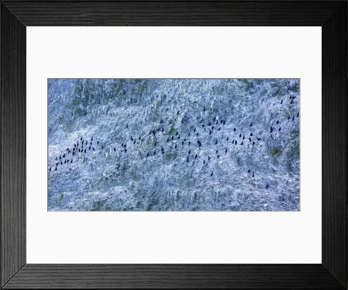 Framed Print : Bird Rocks in Channel Islands, California Framed Print : Bird Rocks in Channel Islands, California