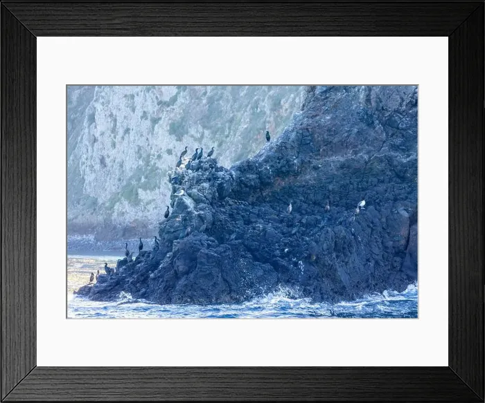 Framed Print : Bird Rocks in Channel Islands, California Framed Print : Bird Rocks in Channel Islands, California