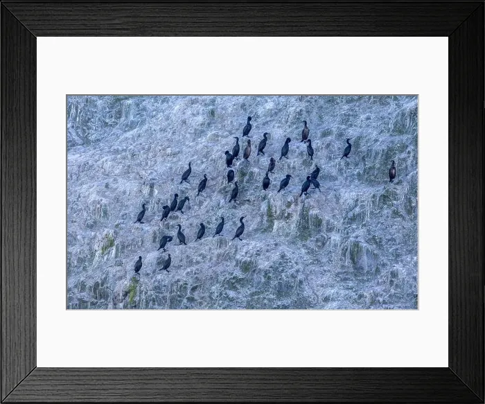 Framed Print : Bird Rocks in Channel Islands, California Framed Print : Bird Rocks in Channel Islands, California