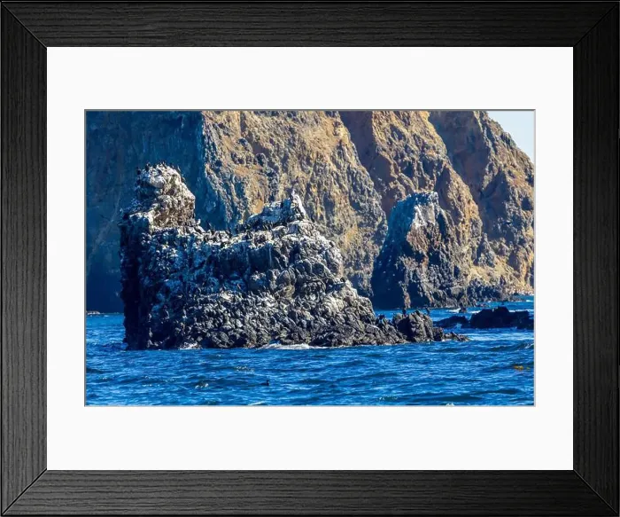 Framed Print : Bird Rocks in Channel Islands, California Framed Print : Bird Rocks in Channel Islands, California