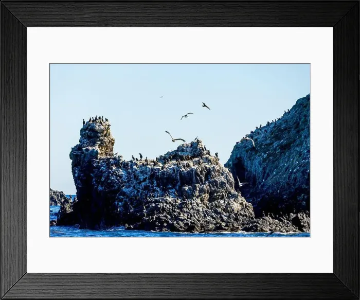 Framed Print : Bird Rocks in Channel Islands, California Framed Print : Bird Rocks in Channel Islands, California