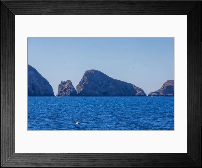Framed Print : Volcanic rock formations in the Channel Islands National Park, California Framed Print : Volcanic rock formations in the Channel Islands National Park, California