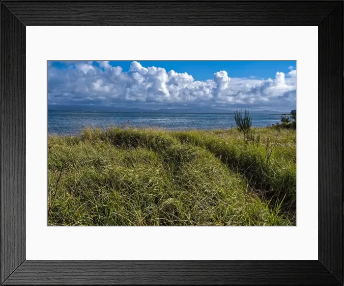 Framed Print : A hiking trail cuts through the grass to the Willapa Bay shore at Leadbetter Point State Park in Washington, USA Framed Print : A hiking trail cuts through the grass to the Willapa Bay shore at Leadbetter Point State Park in Washington, USA
