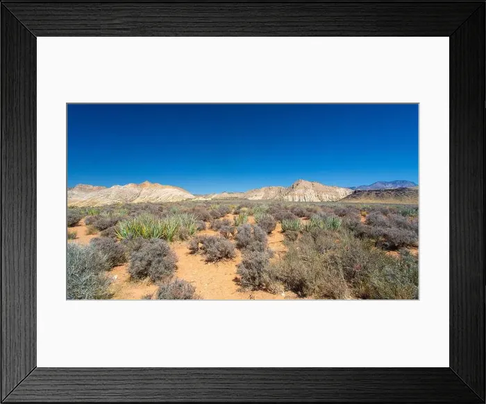 Framed Print : The White Rocks in the north of Snow Canyon State Park near St Framed Print : The White Rocks in the north of Snow Canyon State Park near St