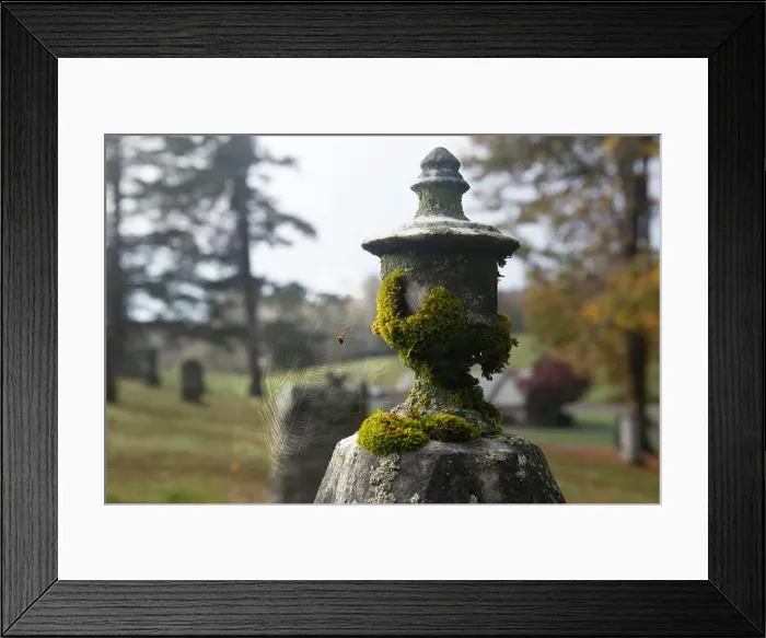 Framed Print : Close-up of a Spider on a Tombstone, Mt Calvary Catholic Cemetery, Portland, Oregon, USA Framed Print : Close-up of a Spider on a Tombstone, Mt Calvary Catholic Cemetery, Portland, Oregon, USA
