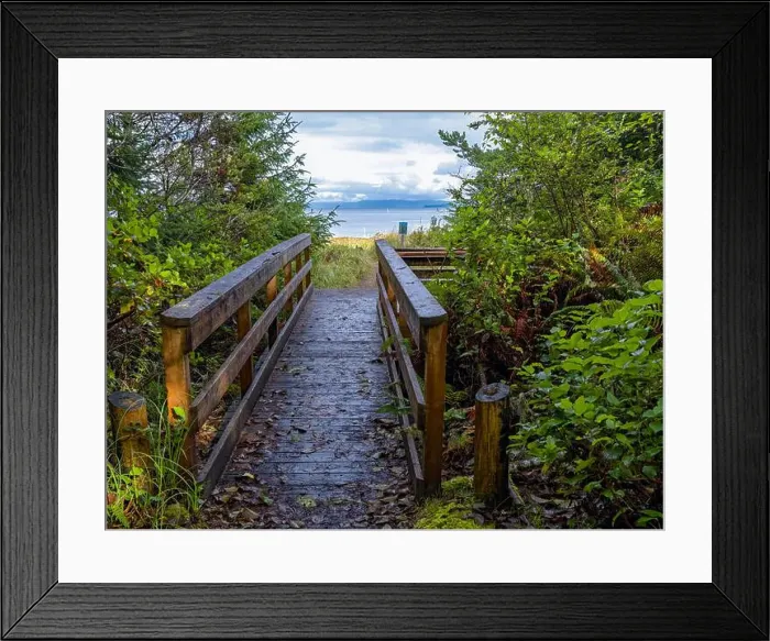 Framed Print : A boardwalk on the trail to the beach of Willapa Bay at Leadbetter Point State Park, Washington, USA Framed Print : A boardwalk on the trail to the beach of Willapa Bay at Leadbetter Point State Park, Washington, USA