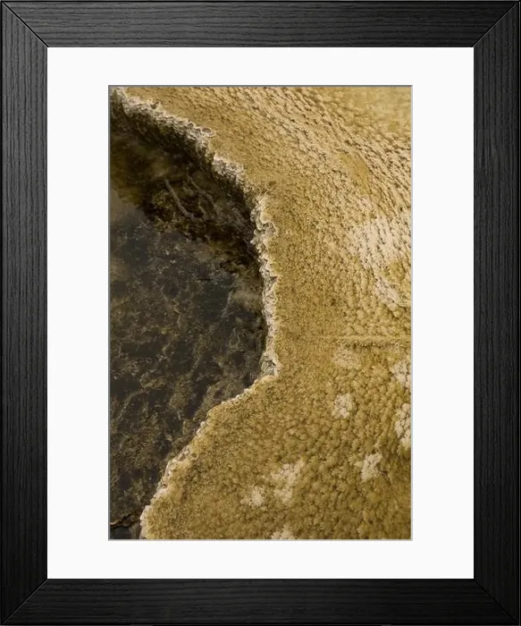 Framed Print : Textures and colors of the terrain in Yellowstone National Park VII USA Framed Print : Textures and colors of the terrain in Yellowstone National Park VII USA
