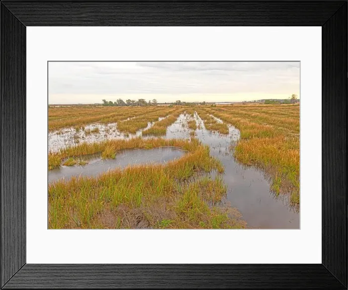 Framed Print : Former Rice Plantation That is Now a Wildlife Refuge at the Santee Wildlife Refuge in South Carolina Framed Print : Former Rice Plantation That is Now a Wildlife Refuge at the Santee Wildlife Refuge in South Carolina