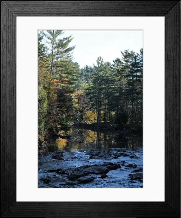 Framed Print : A deer drinking water from a brook in the Adirondacks near Keene Valley Framed Print : A deer drinking water from a brook in the Adirondacks near Keene Valley
