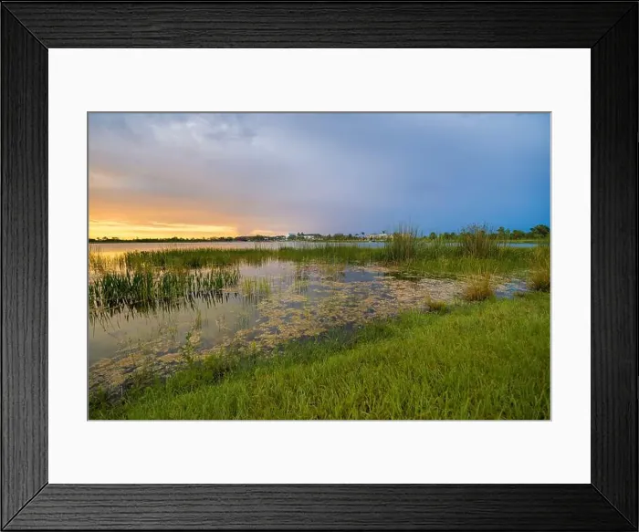 Framed Print : Florida lake nature at sunset. Recreational wildlife area in Wellen park in Venice Framed Print : Florida lake nature at sunset. Recreational wildlife area in Wellen park in Venice