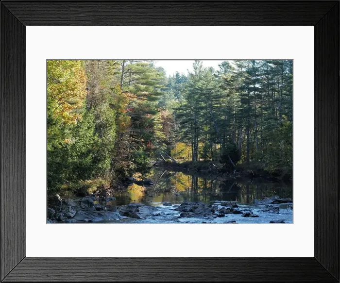Framed Print : A deer drinking water from a brook in the Adirondacks near Keene Valley Framed Print : A deer drinking water from a brook in the Adirondacks near Keene Valley