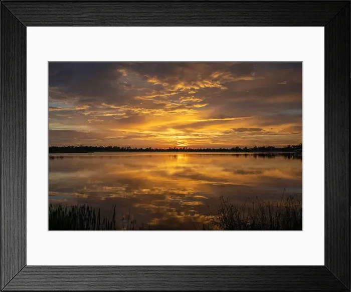 Framed Print : Lake sunset in Wellen park in North Port, Florida Framed Print : Lake sunset in Wellen park in North Port, Florida