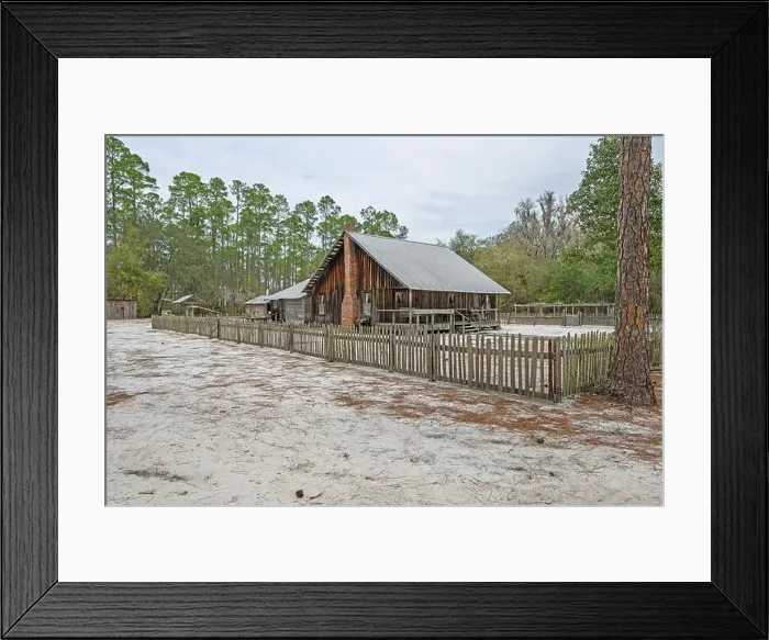 Framed Print : Preserved Swamper Homestead Cabin on Chesser Island in Okefenokee National Wildllfe Refuge in Georgia Framed Print : Preserved Swamper Homestead Cabin on Chesser Island in Okefenokee National Wildllfe Refuge in Georgia