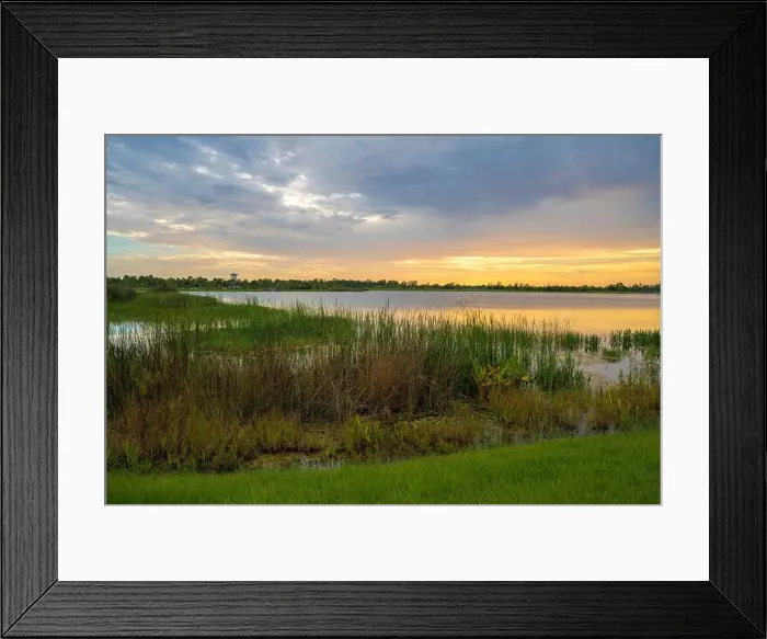 Framed Print : Lake sunset in Wellen park in North Port, Florida Framed Print : Lake sunset in Wellen park in North Port, Florida