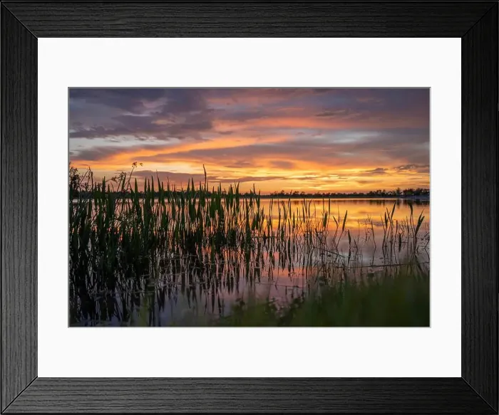 Framed Print : Lake sunset in Wellen park in North Port, Florida Framed Print : Lake sunset in Wellen park in North Port, Florida