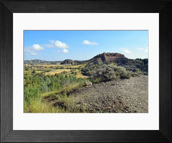 Framed Print : Rabbit in the Painted Canyon Framed Print : Rabbit in the Painted Canyon