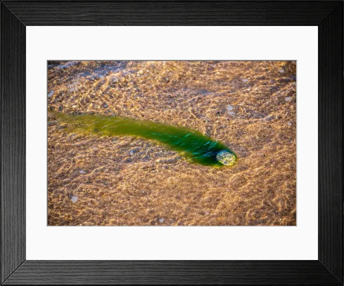 Framed Print : Cape Cod National Seashore features Herring Cove and full access to the Atlantic Ocean near Provincetown, MA, USA Framed Print : Cape Cod National Seashore features Herring Cove and full access to the Atlantic Ocean near Provincetown, MA, USA