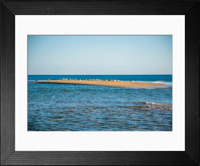 Framed Print : Cape Cod National Seashore features Herring Cove and full access to the Atlantic Ocean near Provincetown, MA, USA Framed Print : Cape Cod National Seashore features Herring Cove and full access to the Atlantic Ocean near Provincetown, MA, USA