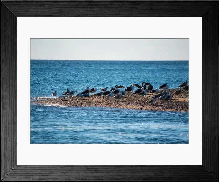 Framed Print : Cape Cod National Seashore features Herring Cove and full access to the Atlantic Ocean near Provincetown, MA, USA Framed Print : Cape Cod National Seashore features Herring Cove and full access to the Atlantic Ocean near Provincetown, MA, USA