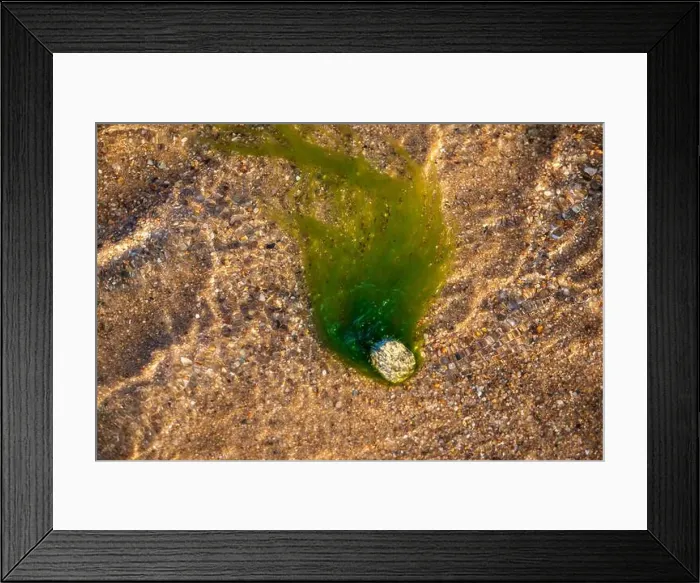 Framed Print : Cape Cod National Seashore features Herring Cove and full access to the Atlantic Ocean near Provincetown, MA, USA Framed Print : Cape Cod National Seashore features Herring Cove and full access to the Atlantic Ocean near Provincetown, MA, USA