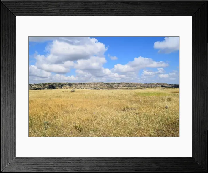 Framed Print : Golden Field Framed Print : Golden Field