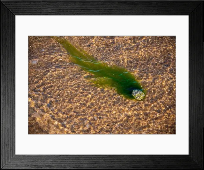 Framed Print : Cape Cod National Seashore features Herring Cove and full access to the Atlantic Ocean near Provincetown, MA, USA Framed Print : Cape Cod National Seashore features Herring Cove and full access to the Atlantic Ocean near Provincetown, MA, USA