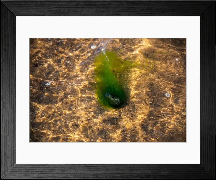 Framed Print : Cape Cod National Seashore features Herring Cove and full access to the Atlantic Ocean near Provincetown, MA, USA Framed Print : Cape Cod National Seashore features Herring Cove and full access to the Atlantic Ocean near Provincetown, MA, USA